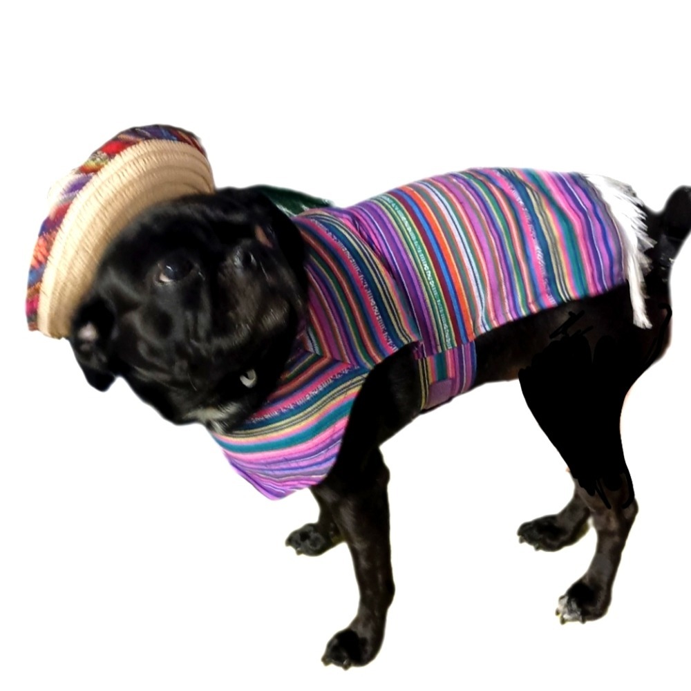 Dog or Large Cat ~Costume 2 piece Outfit
**Perfect Condition**
